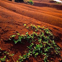 Gearbox母公司计划再花80亿美元收购工作室